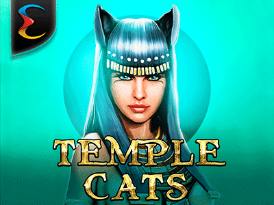 Temple Cats