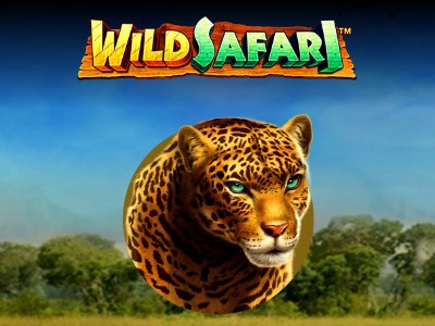 Wild Safari